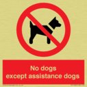 no-dogs-except-assistance-dogs~